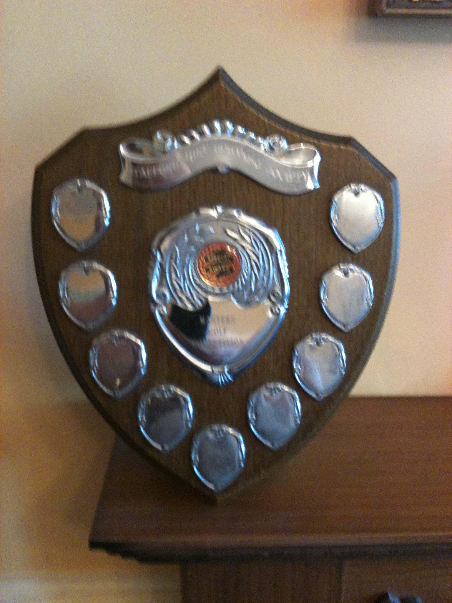 The Shield